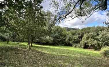 Land For Sale in Mid Devon, England