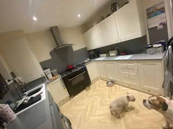 5 Bedroom Townhouse with Side Access and Shed
