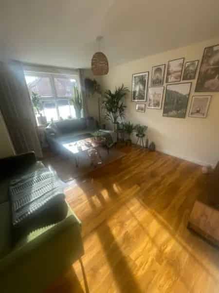 Three Bed New Build Property Near Park
