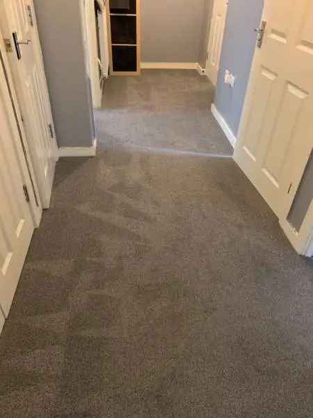  For Rent in Basingstoke and Deane, England