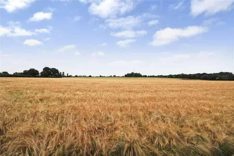 3 Bed Detached Bungalow with Stunning Field Views