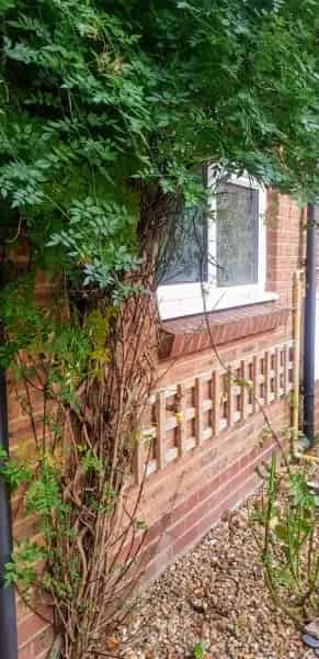 Ground Floor Flat with Private Garden and Carport Near Forest Walks