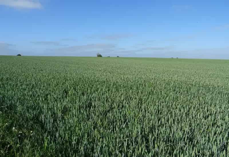 11.78 Acres Arable Amenity Land For Sale