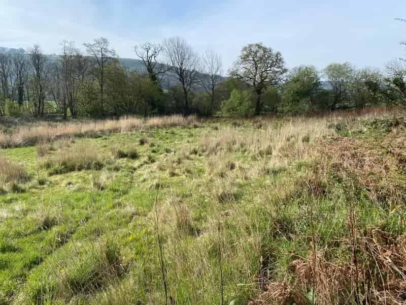 Agricultural Land near Lampeter - Farming, Wildlife, Equestrian