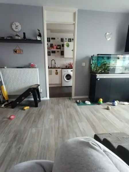 Flat For Rent in Southend-on-Sea, England