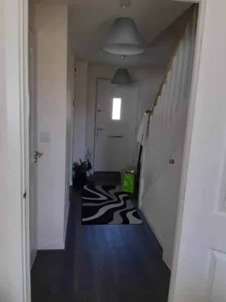 3-Bedroom House Swap Spacious Pet-Friendly Home