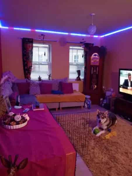Flat For Rent , Sandy, England
