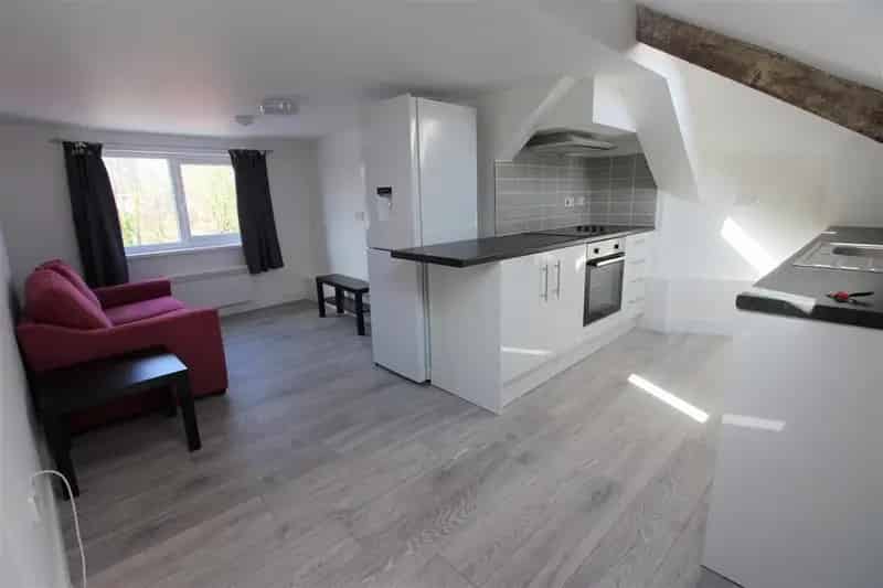 1 Bedroom Flat to Rent Cardiff Cathays September 1st