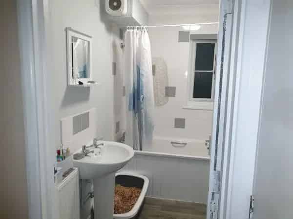 One Bedroom Flat Autumn 2026 Move In Pets Allowed Canterbury Faversham Maidstone
