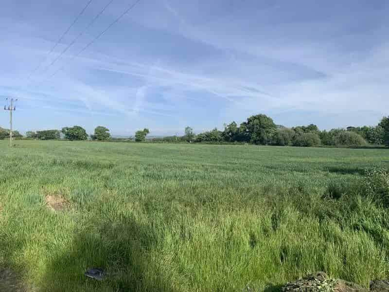 44 Acres Arable Land For Sale - Excellent Access and Development Potential