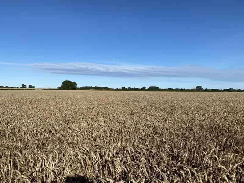 Arable Land at Manor Farm Steane Northamptonshire