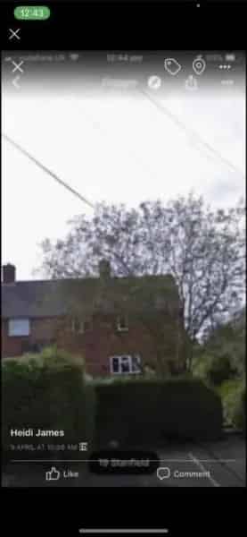 Lovely House with Garden and Driveway
