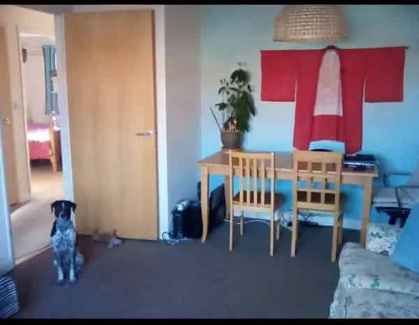 Coastal Bungalow for Over 55s - Two Double Bedrooms