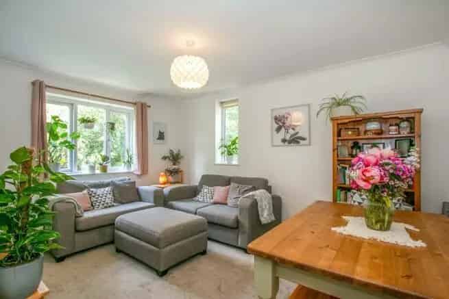 1 Bedroom Flat Available End of July 2025