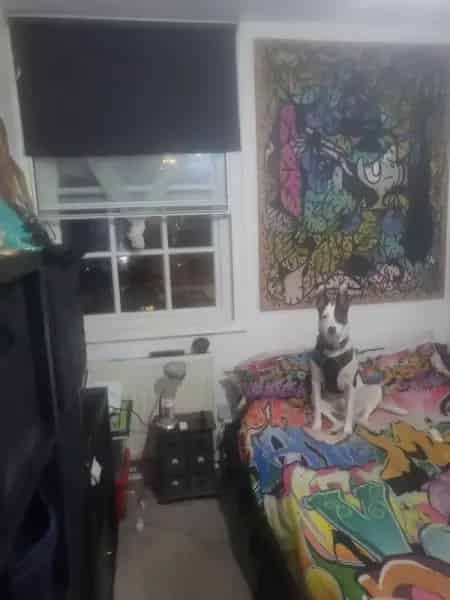 Fulham Flat Near Market Shops West Brompton Tube