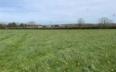 Land For Sale in Torridge District, England