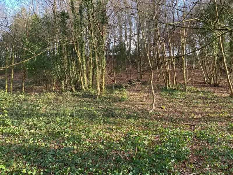 Land for Sale Eaglesbush Valley 1.15 Acres