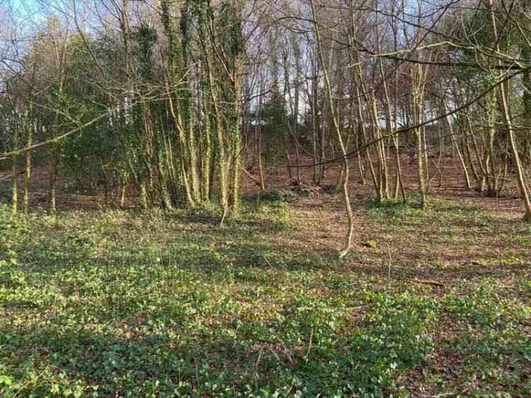Land for Sale Eaglesbush Valley 1.15 Acres