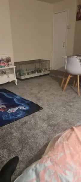 Joint Bedroom and Living Room