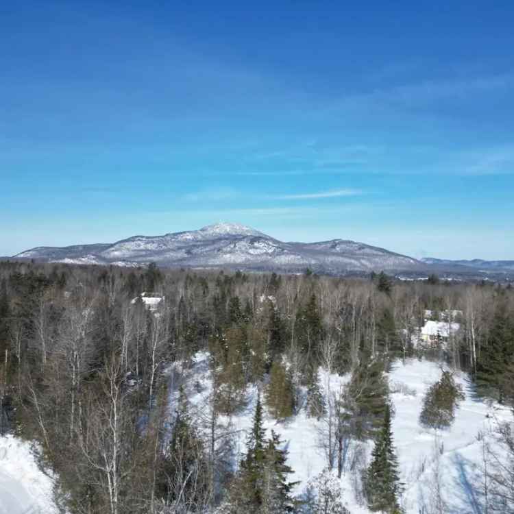 34278 sq ft Wooded Lot for Sale near Magog