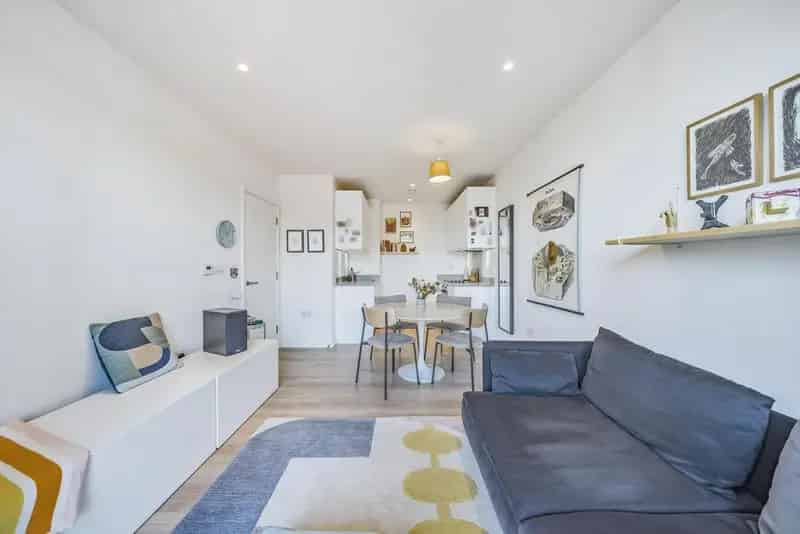 Modern One Bedroom Flat Young Professionals New Development