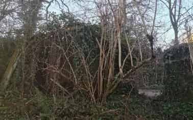 Freehold Amenity Land Near Bere Ferrers