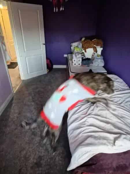 2 Bedroom House Havant 2 Driveways 2 Toilets