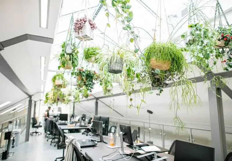 Serviced Offices for 8-100 People Flexible Terms