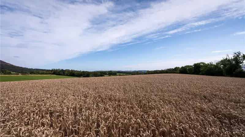 Lot 2 Land at Bowden 8.68 Ha 21.45 Acres Agricultural Land for Sale