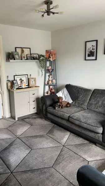 House For Rent in South Holland, England