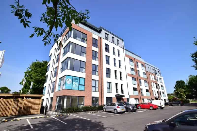 1 bedroom apartment to rent