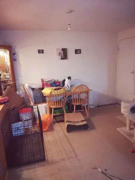 Flat For Rent in Mid Devon, England