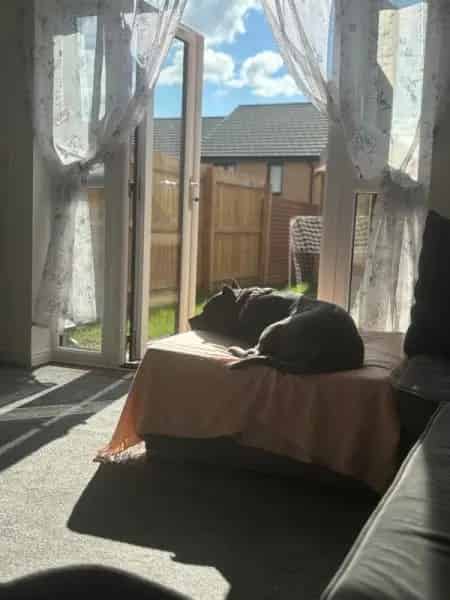 2 Bed New Build House with Garden and Shed