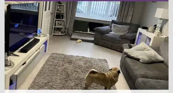 2 Double Bed House Near Train Station Parking Garden