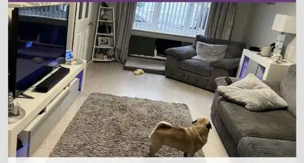 House For Rent in Charnwood, England