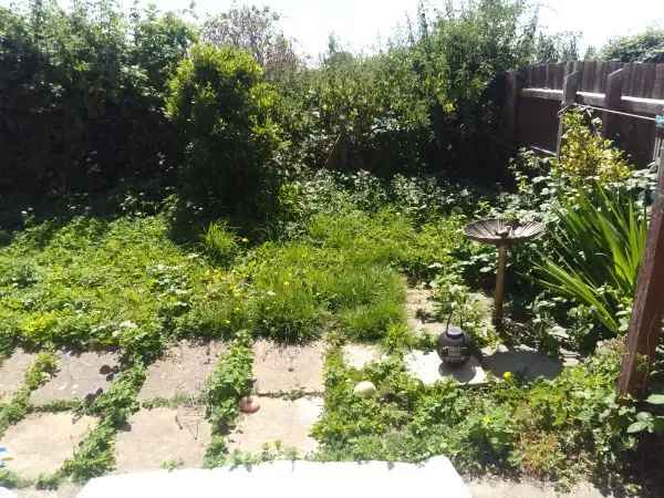 1 Bed Small Bungalow Own Garden