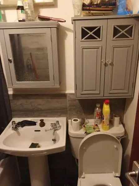 Flat near Streatham Common and Crystal Palace Park