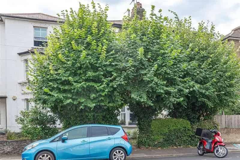 2 bed flat for sale