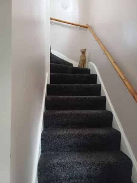 House For Rent , Horsham, England