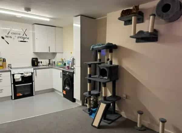 Flat For Rent , London, England