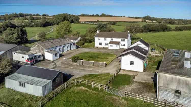 Equestrian Family Home with Income Potential near Cardigan
