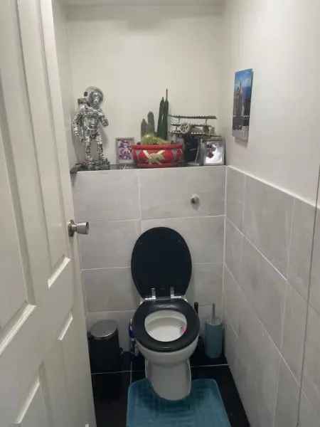 New Toilet & Bathroom