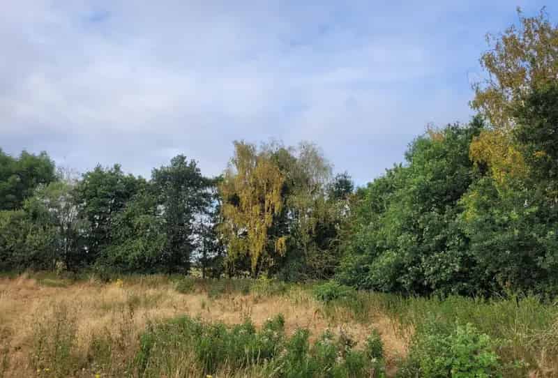 Land for Sale near Chatteris Cambridgeshire