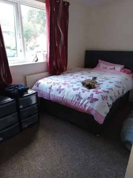 Spacious Ripley Property - Needs Minor Renovation