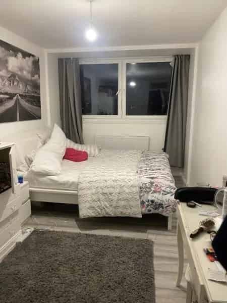 Renovated 2 Bedroom Flat with London View