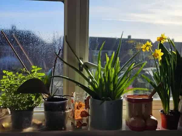 2 Bedroom Flat with Garden and Parking Close to School and Shops