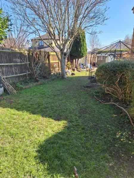Quiet Somerset Bungalow for Downsizers