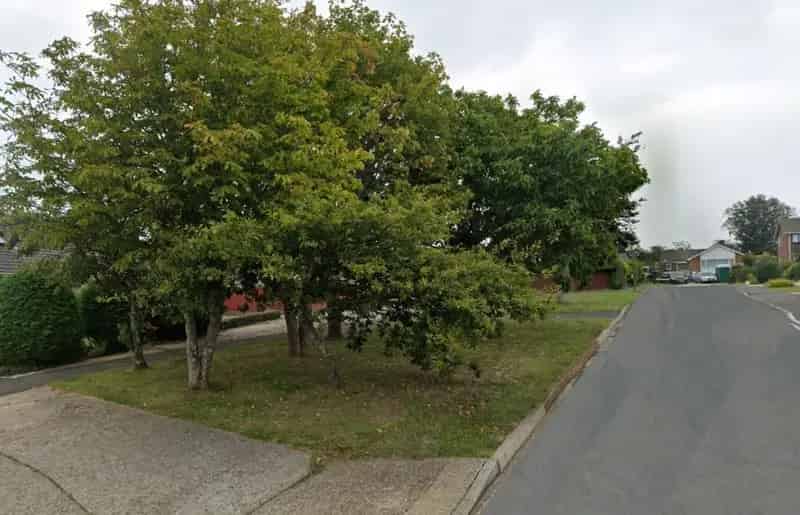 4.5 Acre Freehold Land and Roadways Near Shops and Amenities
