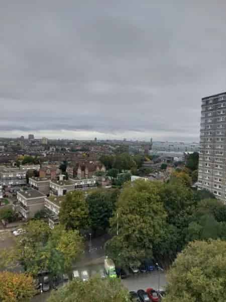 Battersea Flat near Thames River and Battersea Park