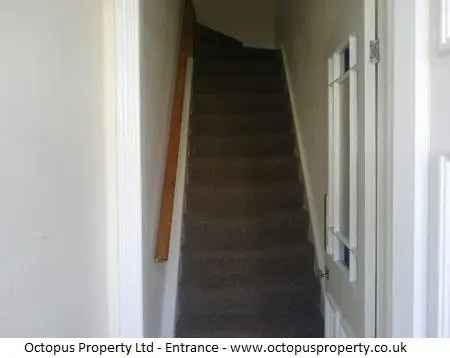 3 bedroom flat to rent